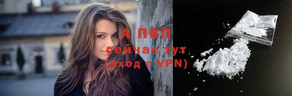 соль ск Белокуриха