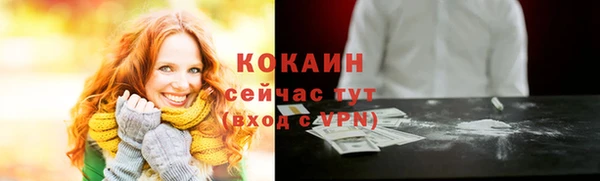 соль ск Белокуриха