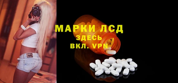 стаф Беломорск