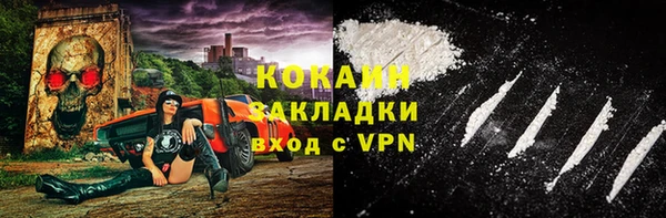 соль ск Белокуриха