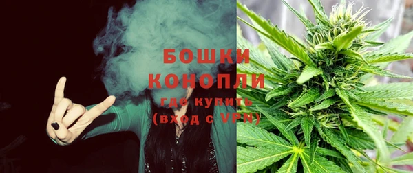 стаф Беломорск