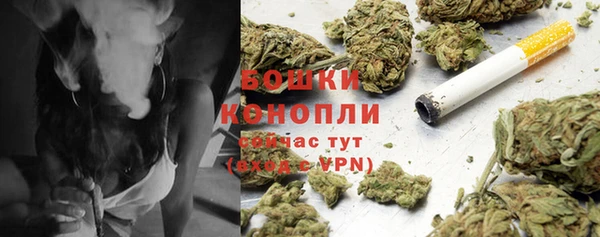 стаф Беломорск